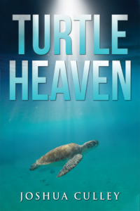 Turtle Heaven Cover